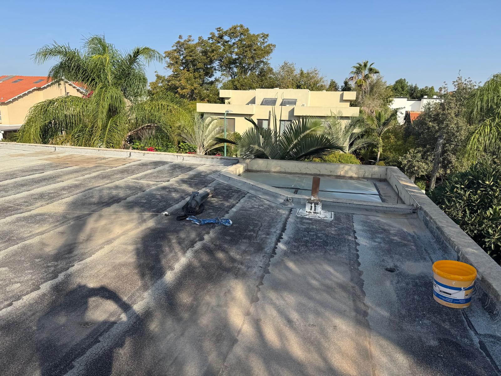 צוות בעבודה